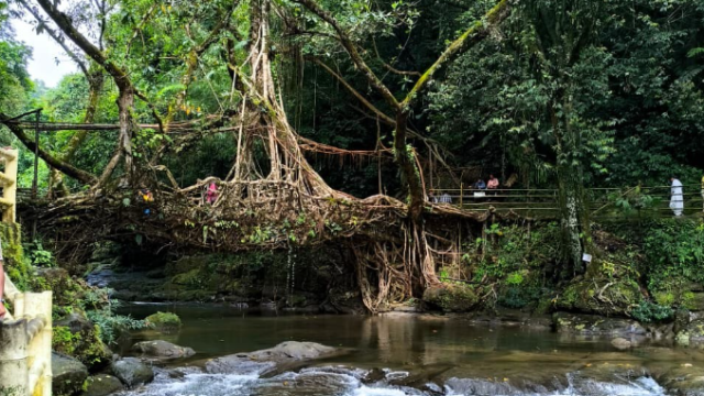 Screenshot 2025-12-15 145747