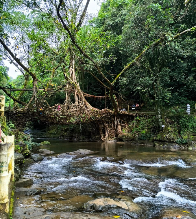 Screenshot 2025-12-15 145747