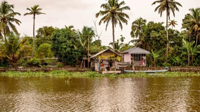 View of traditional houses along Kerala's serene backwaters surrounded by palm trees.